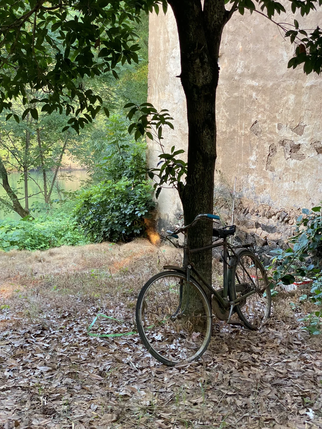 太爱广西了！随手一拍就是画…..