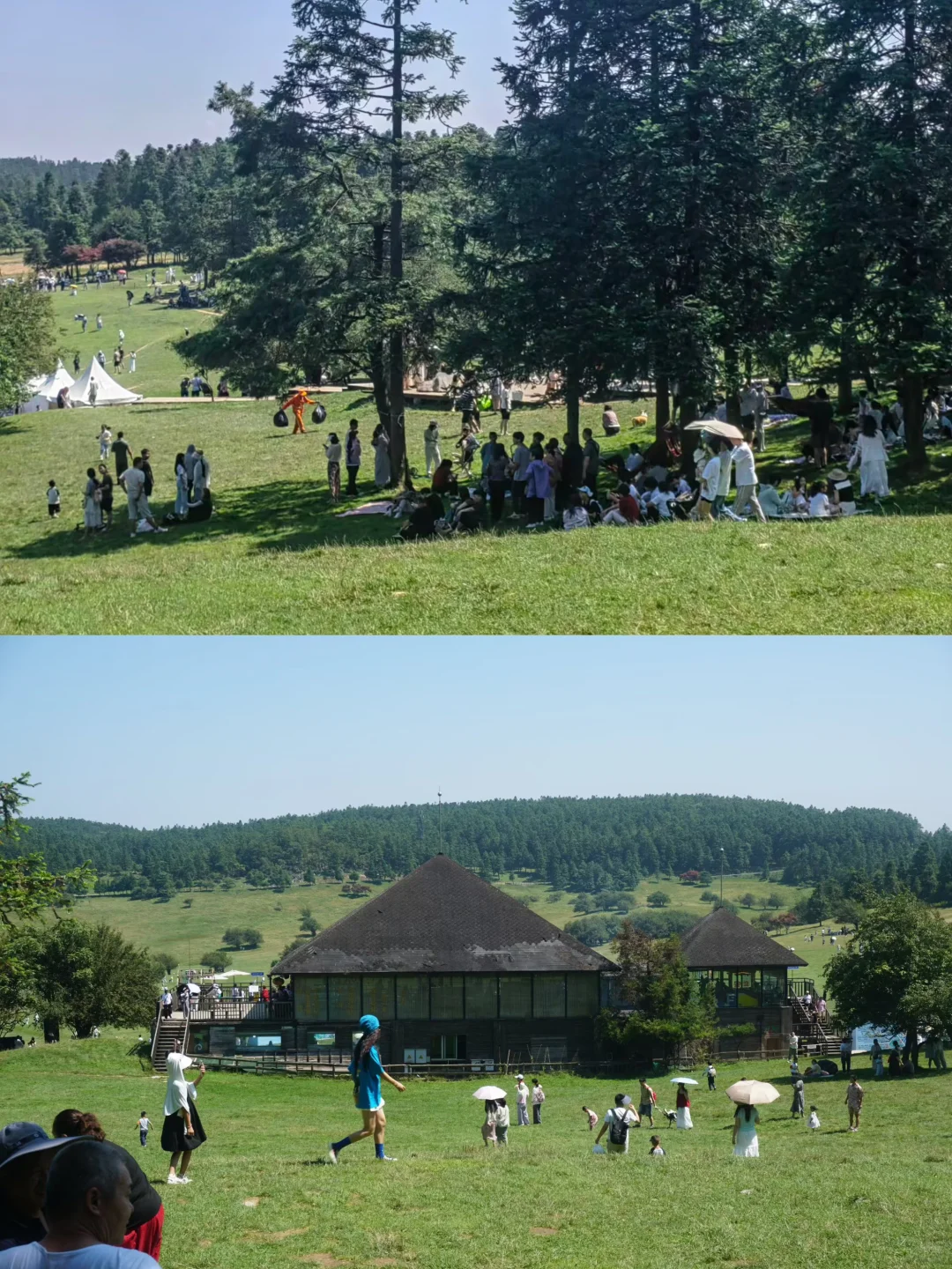 重庆| 为了这个景，专门去了一趟武隆🏞