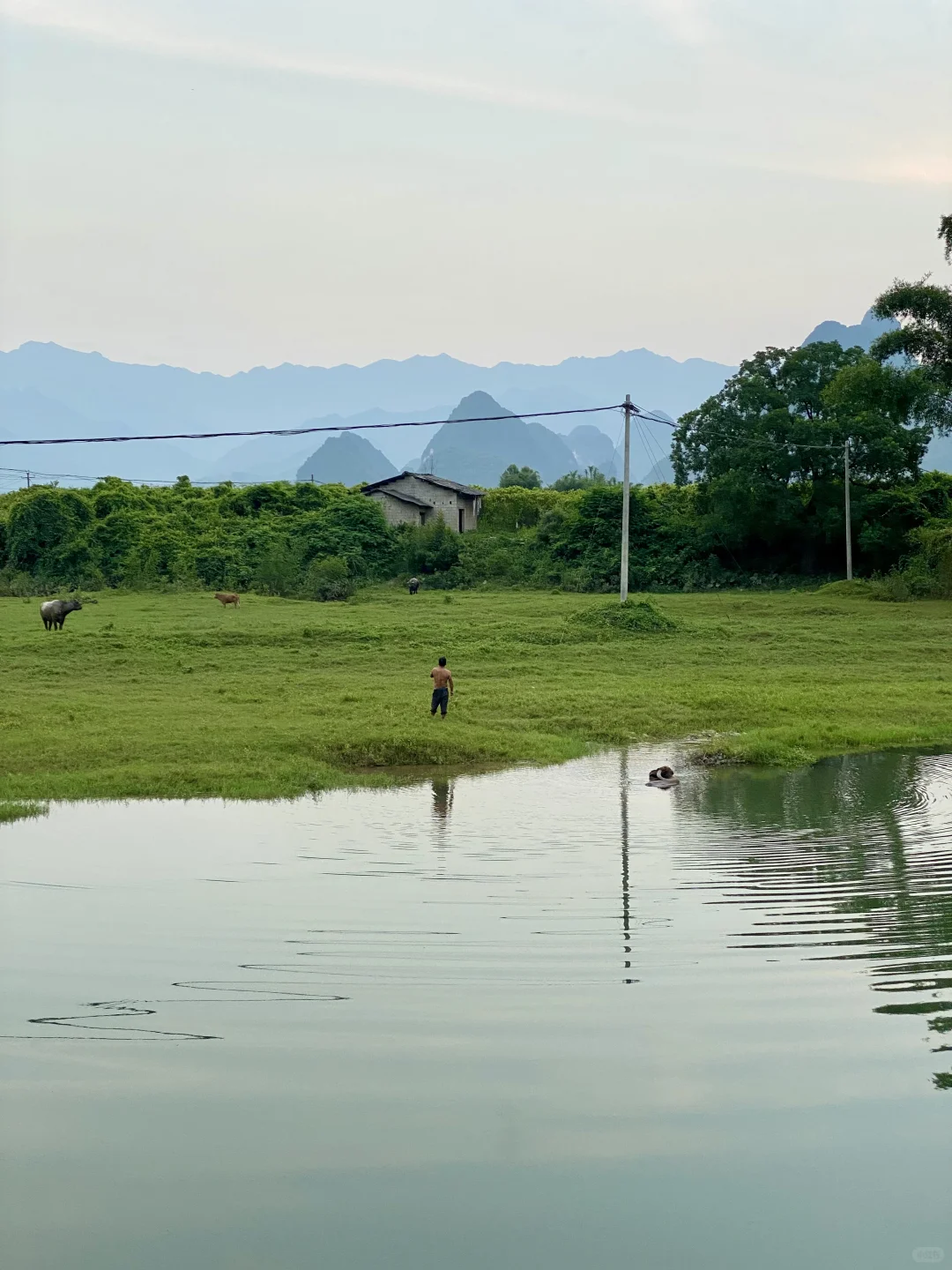 太爱广西了！随手一拍就是画…..