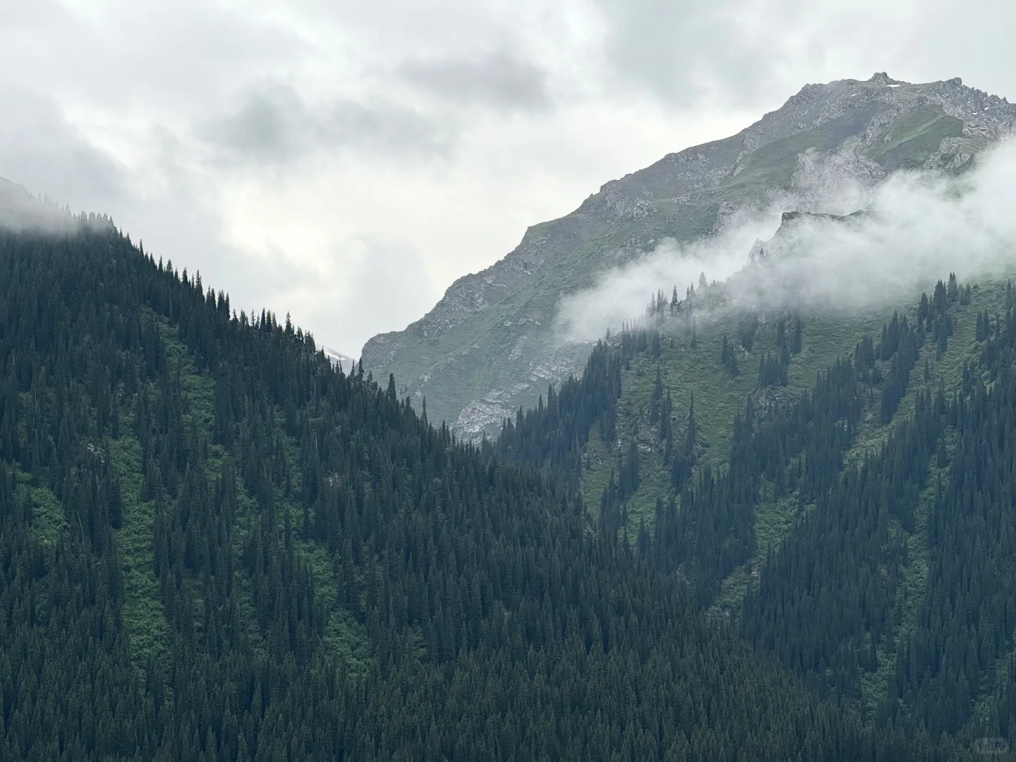 离职勇闯新疆伊犁✈️花费总览人均8k➖