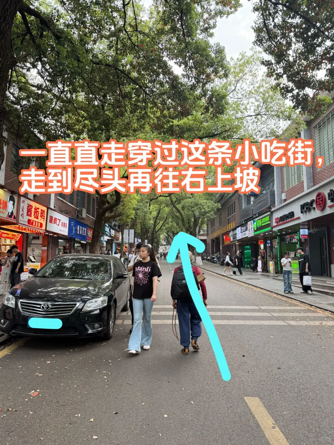 岳麓山南进难免爬山攻略
