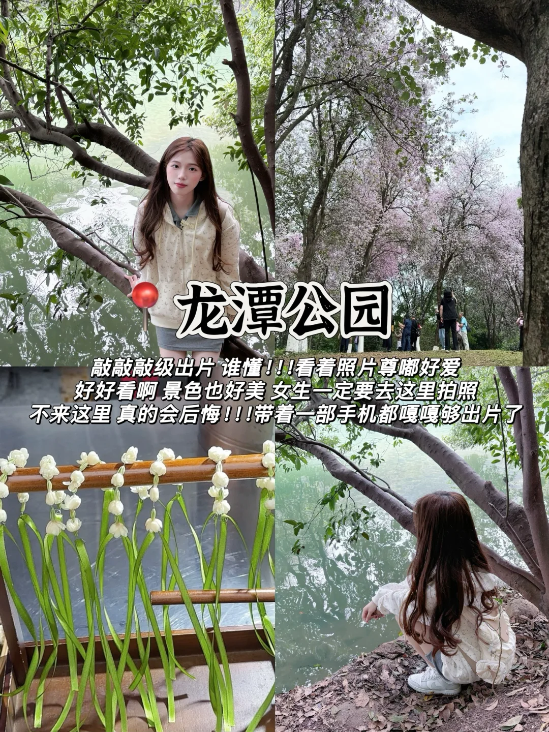 特种兵旅游之柳州 （保姆版）