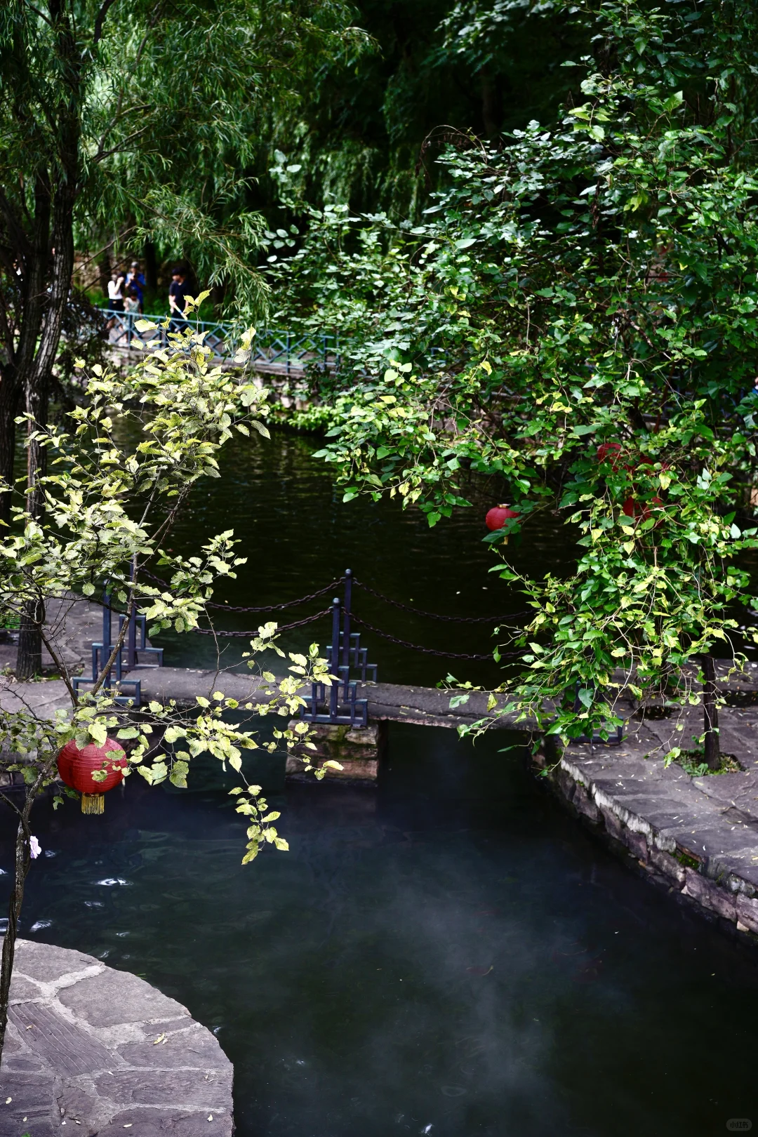 石家庄自驾2h！抵达「小江南」避暑拍照两不误✨