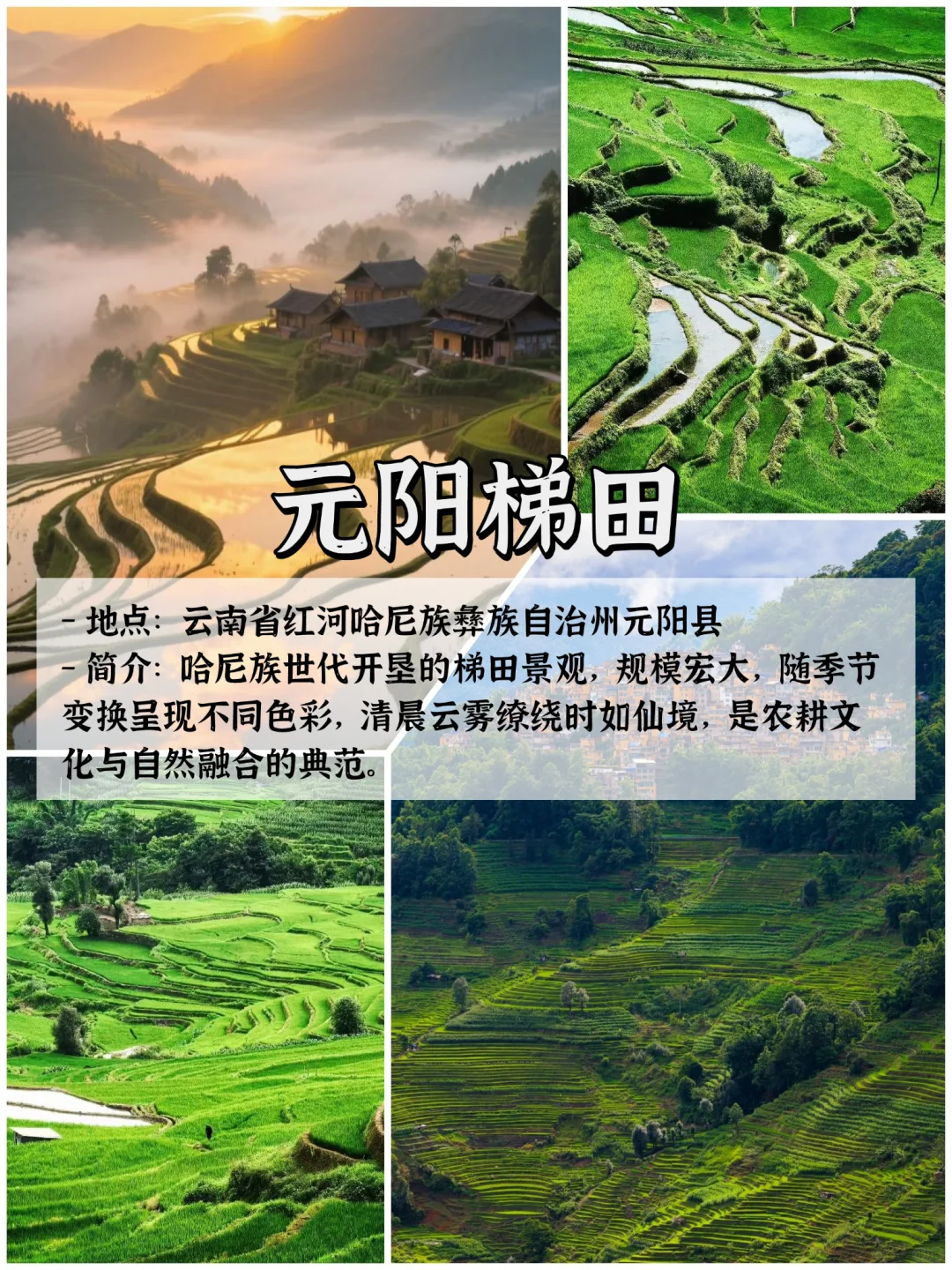 🌿云南9大宝藏景点|旅行必打卡清单✨