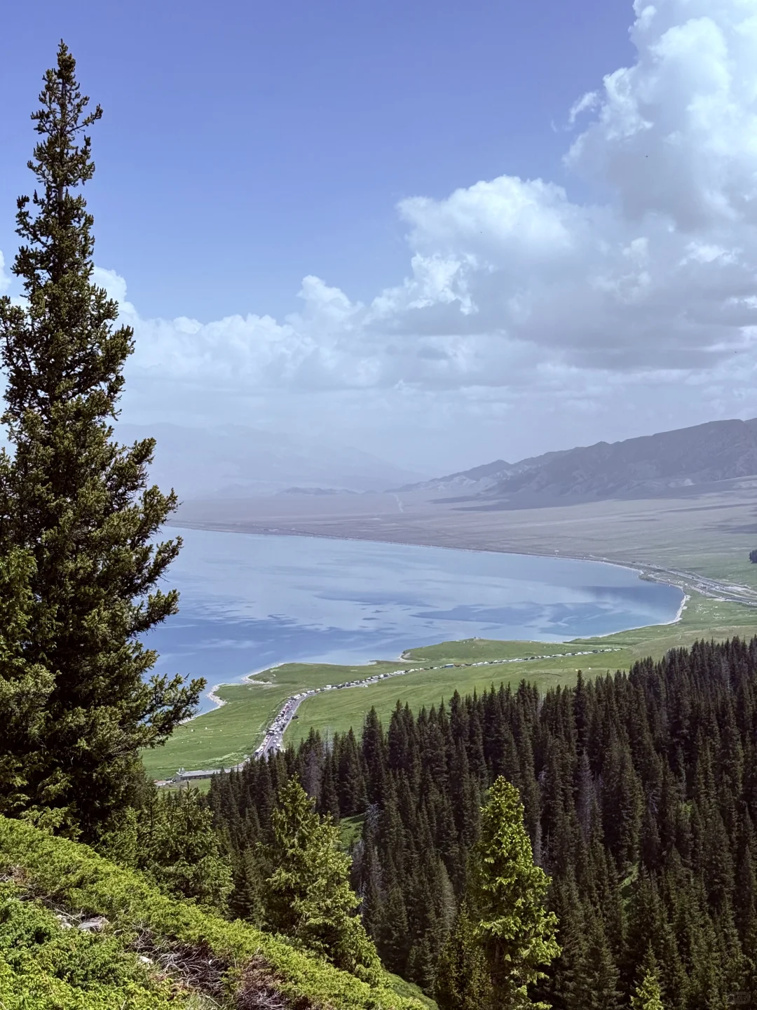 离职勇闯新疆伊犁✈️花费总览人均8k➖