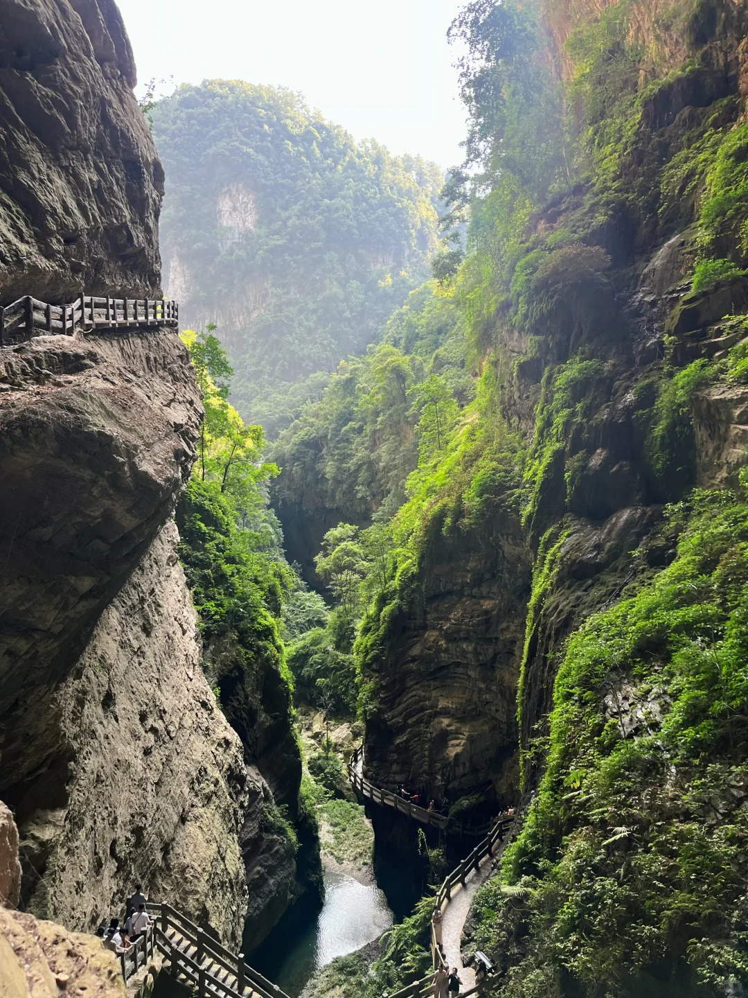 重庆| 为了这个景，专门去了一趟武隆🏞