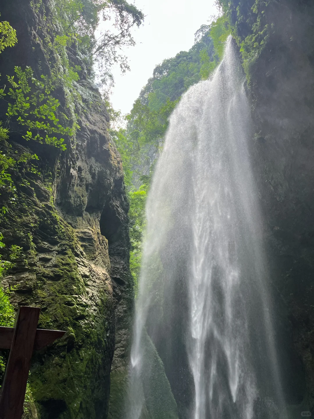重庆| 为了这个景，专门去了一趟武隆🏞