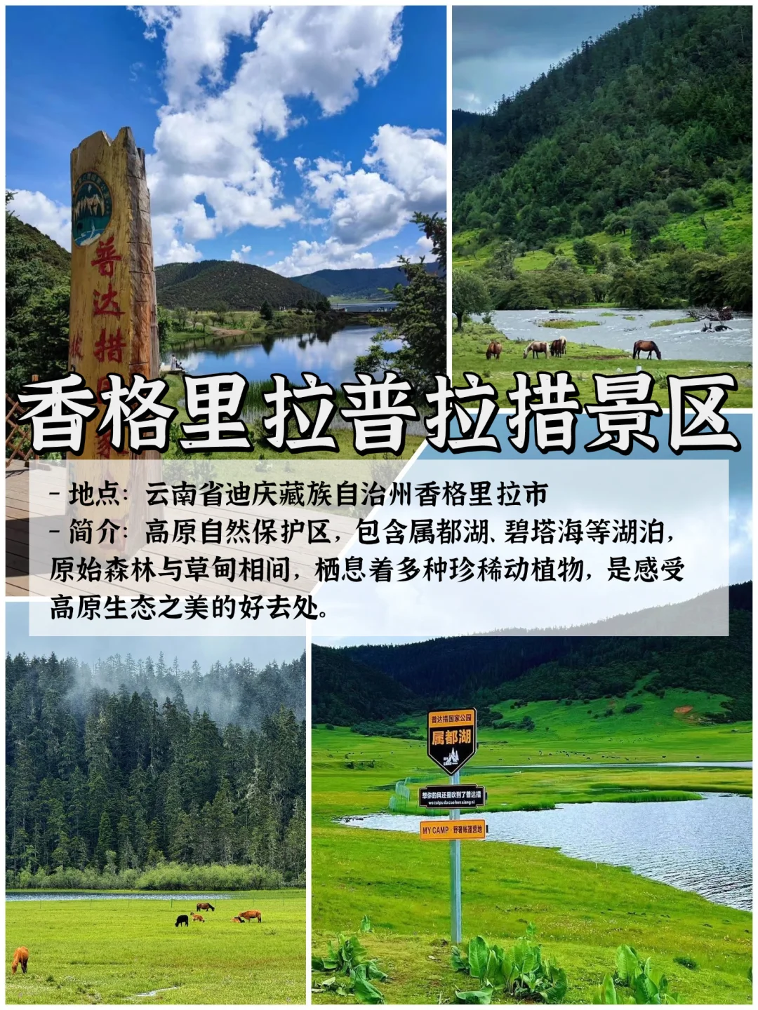 🌿云南9大宝藏景点|旅行必打卡清单✨