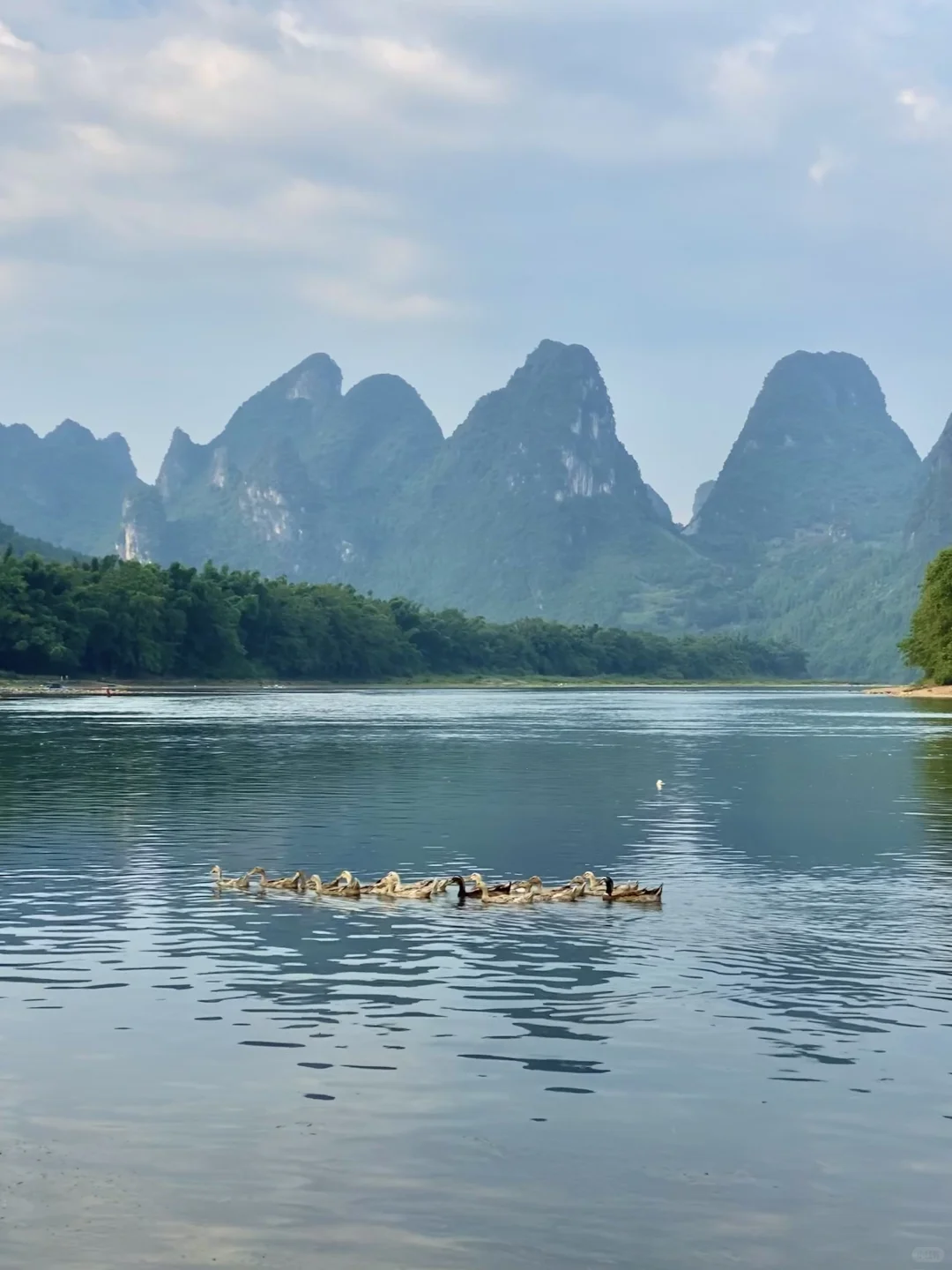 太爱广西了！随手一拍就是画…..