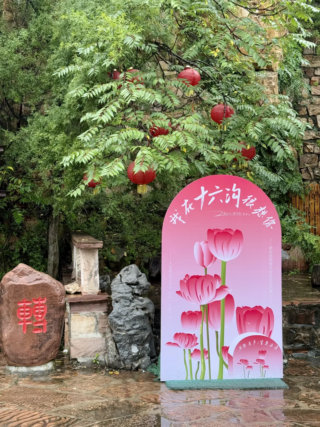 闯进绿野仙踪！十六沟也太仙了吧！！