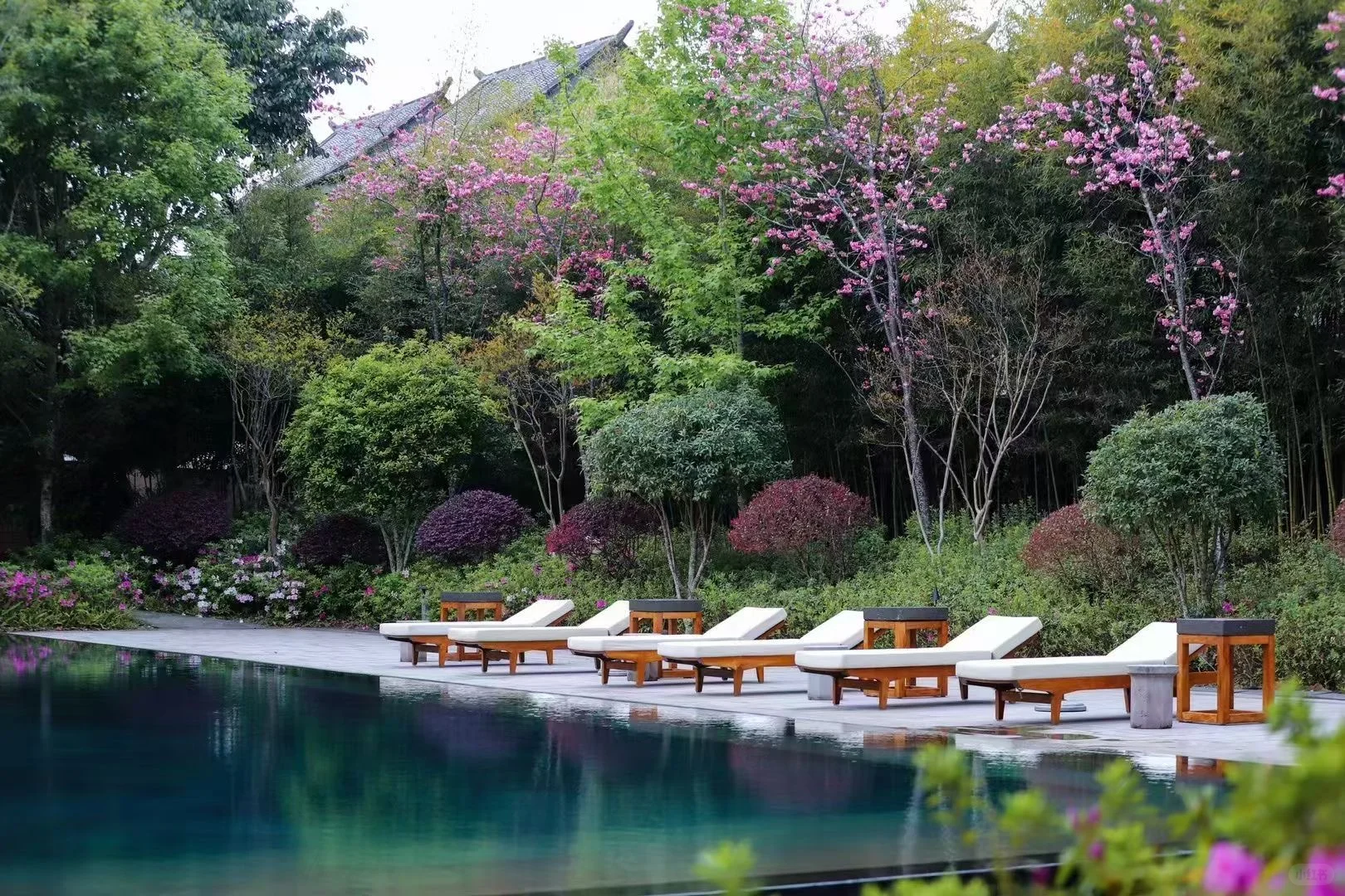 腾冲生活七年——腾冲温泉攻略（全）