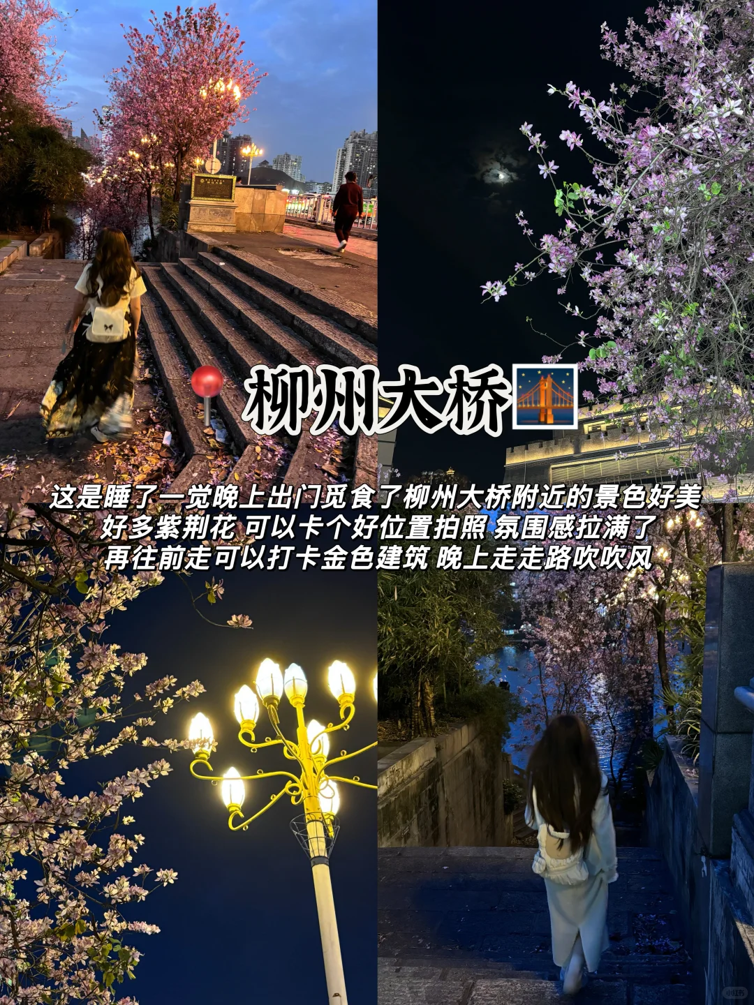 特种兵旅游之柳州 （保姆版）