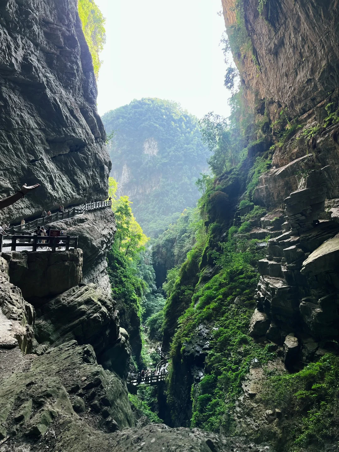 重庆| 为了这个景，专门去了一趟武隆🏞
