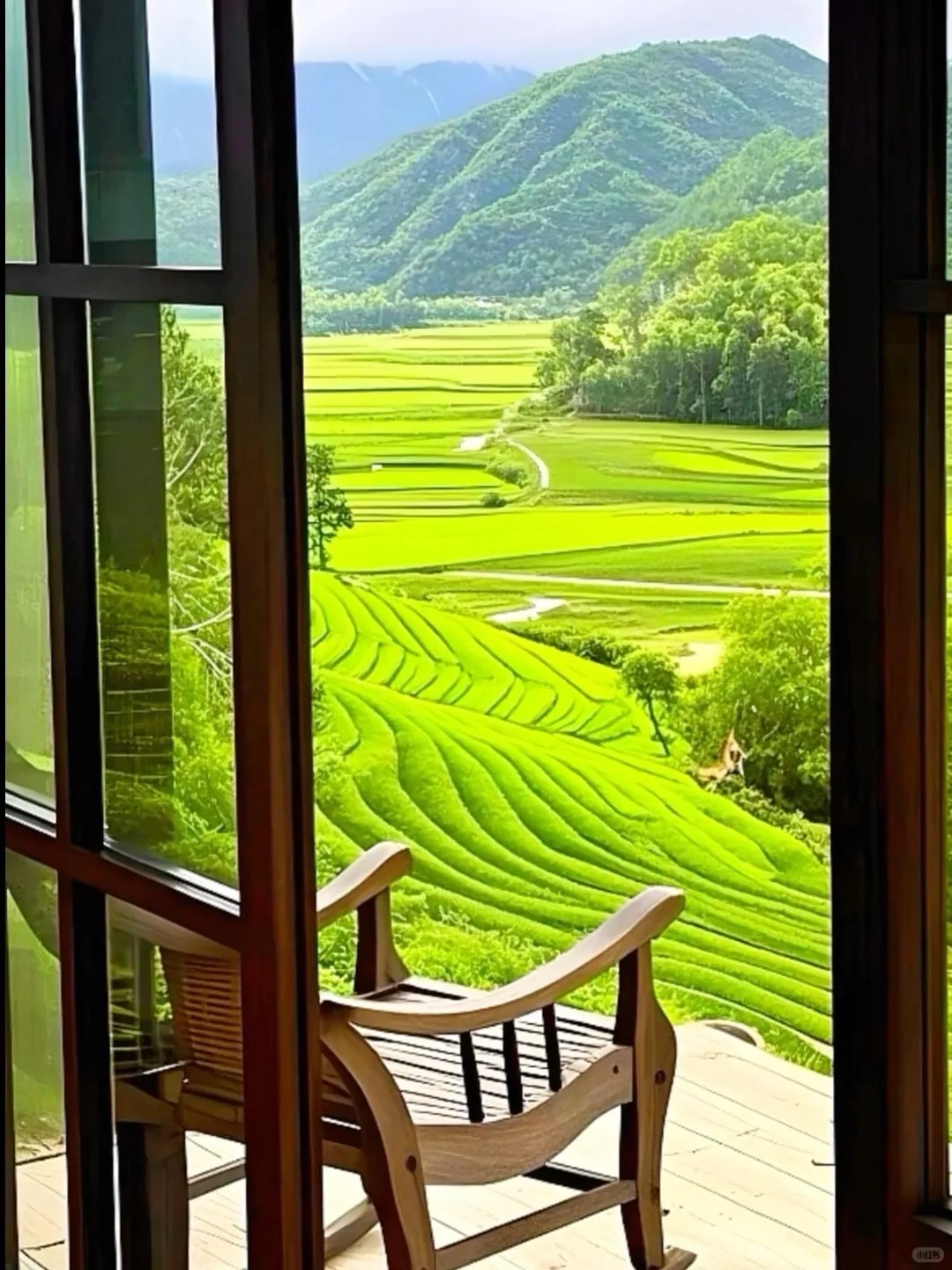 莫干山！童话木屋➕山野温泉♨️！779/3天🉑暑假