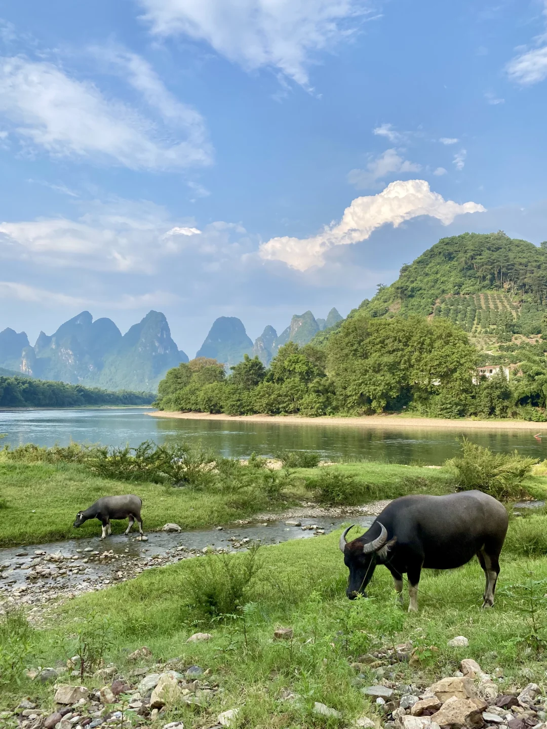 太爱广西了！随手一拍就是画…..