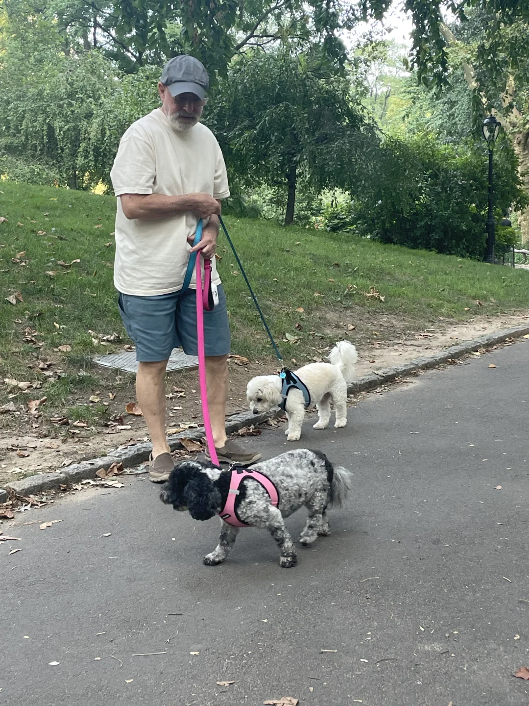 美国游记 | 纽约景点流水账