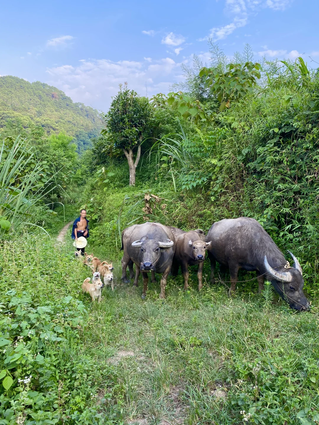 太爱广西了！随手一拍就是画…..