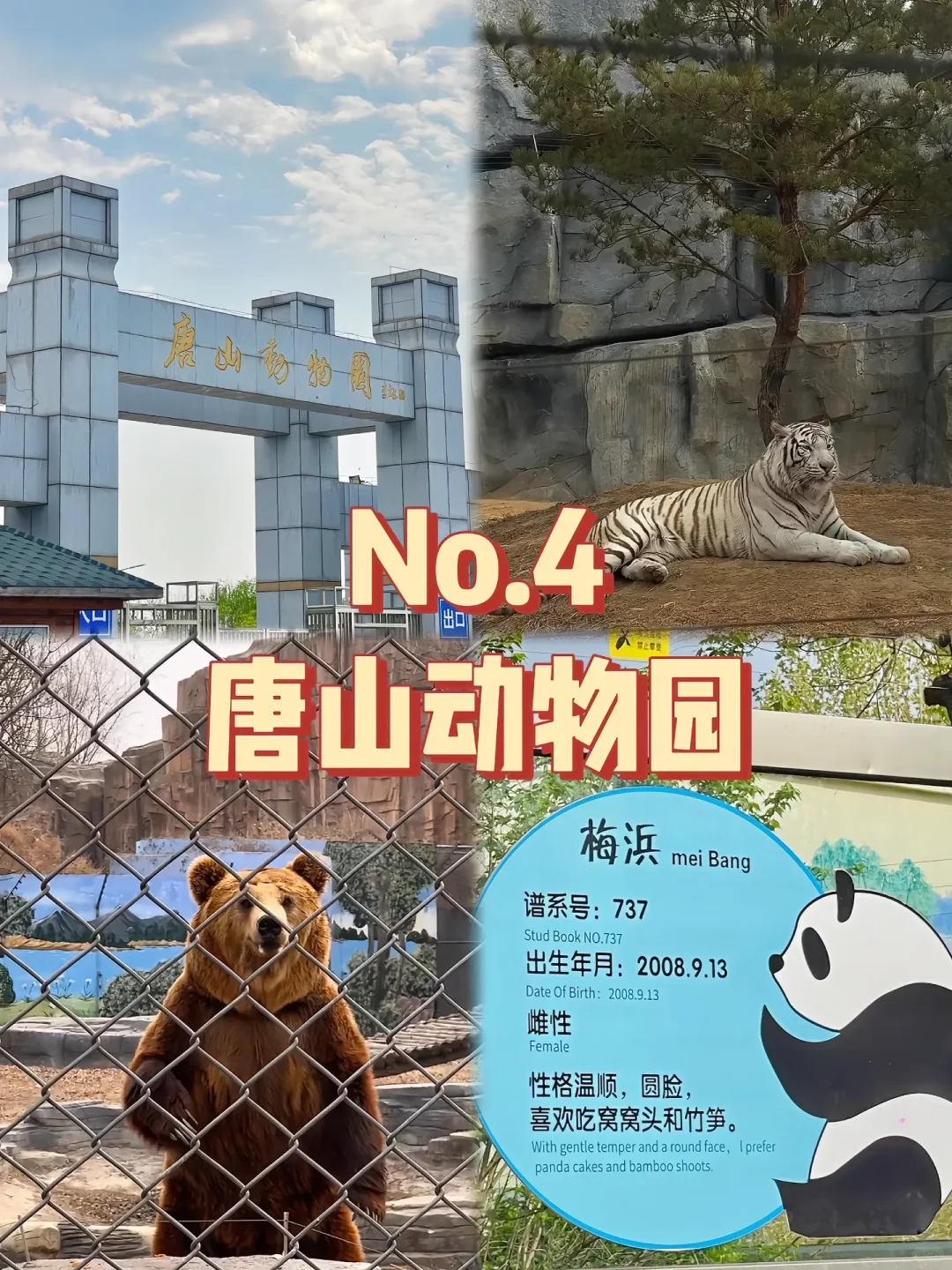 来唐山必打卡的旅游景点