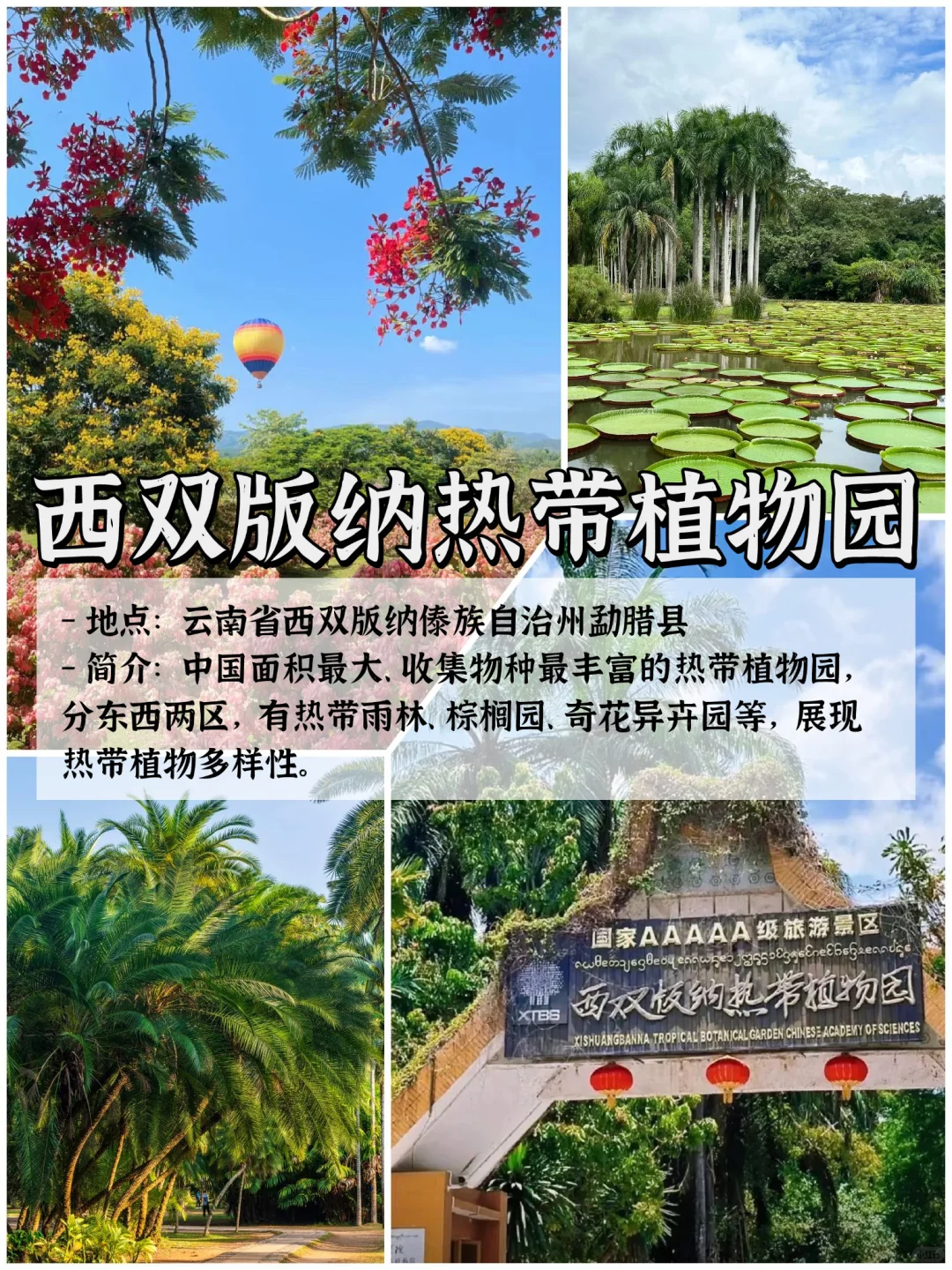 🌿云南9大宝藏景点|旅行必打卡清单✨