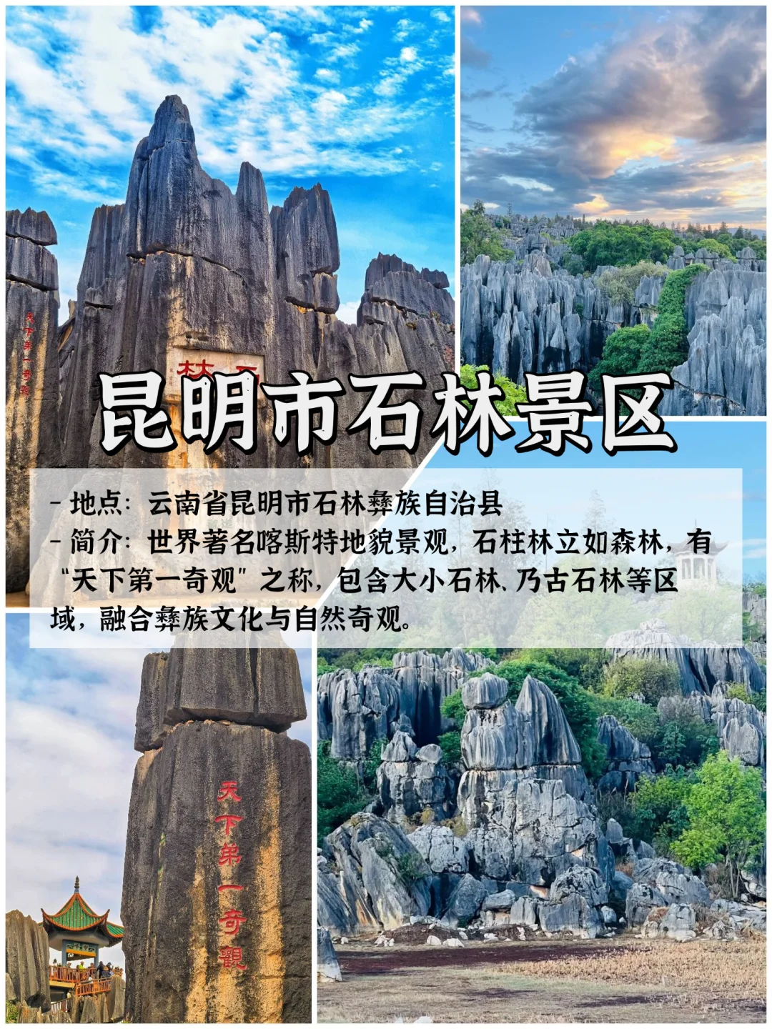 🌿云南9大宝藏景点|旅行必打卡清单✨