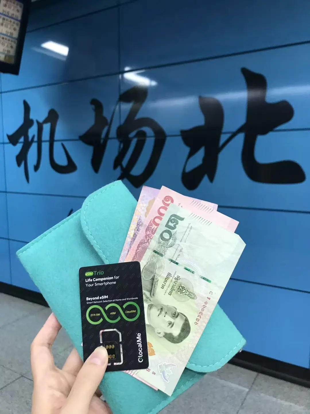 济州岛超全攻略！！必带物品+景点+美食