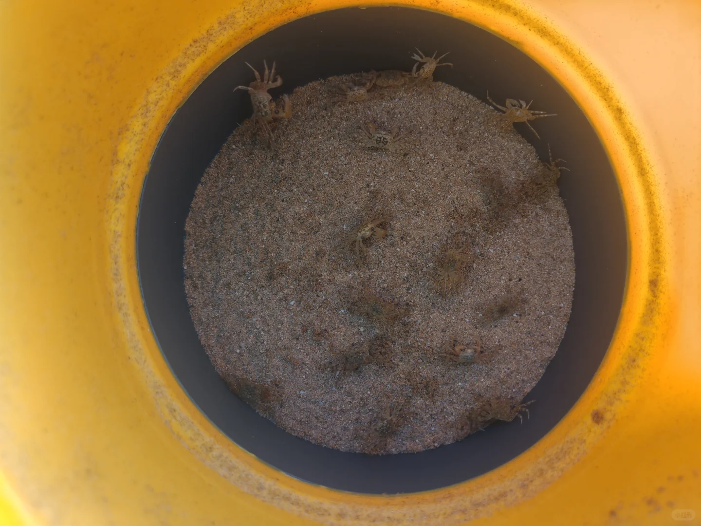 穷游党必看｜免费玩遍核心景➕ 环岛骑行