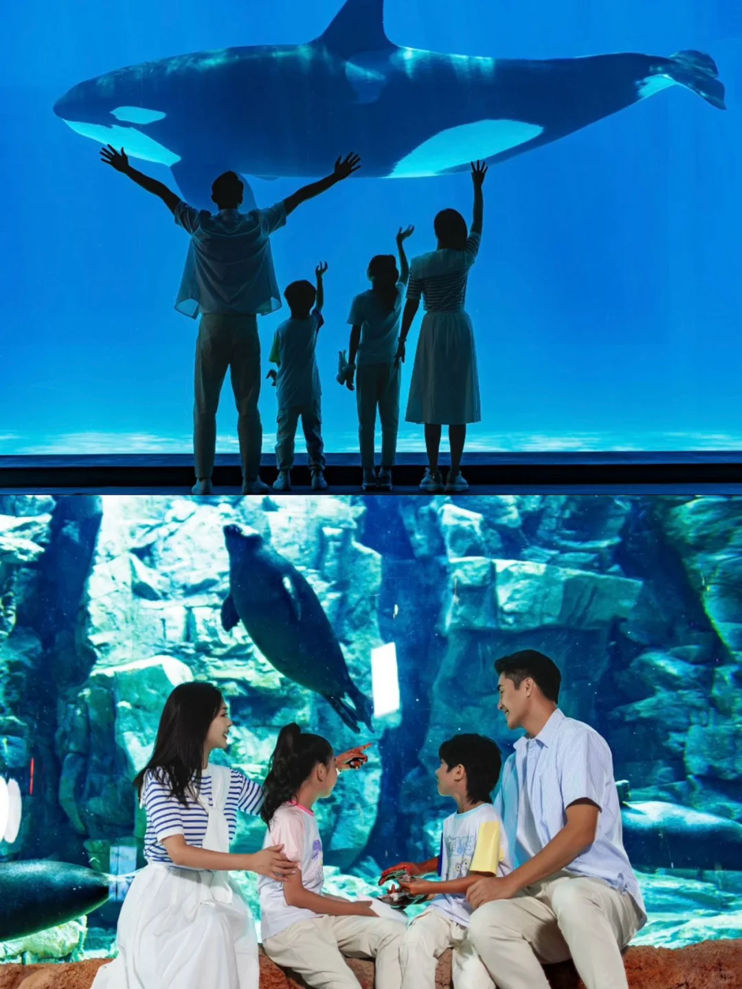 人均300+珠海长隆2天1夜的福利被我赶上了