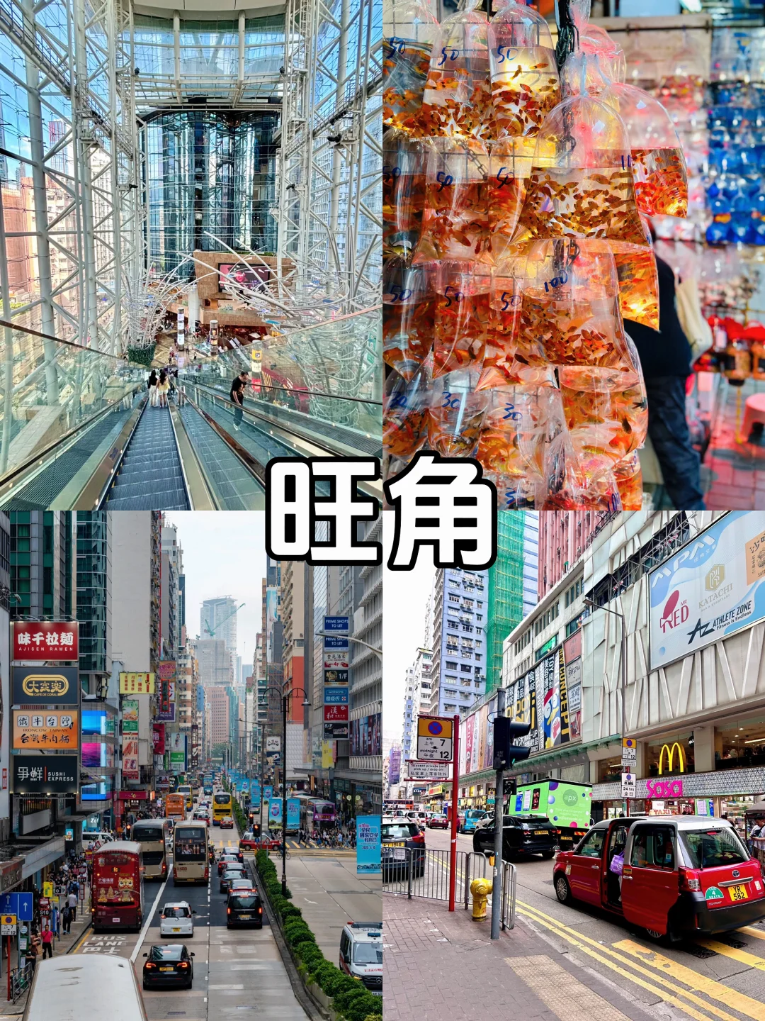 周末出游｜香港City walk必打卡的11个景点❗️