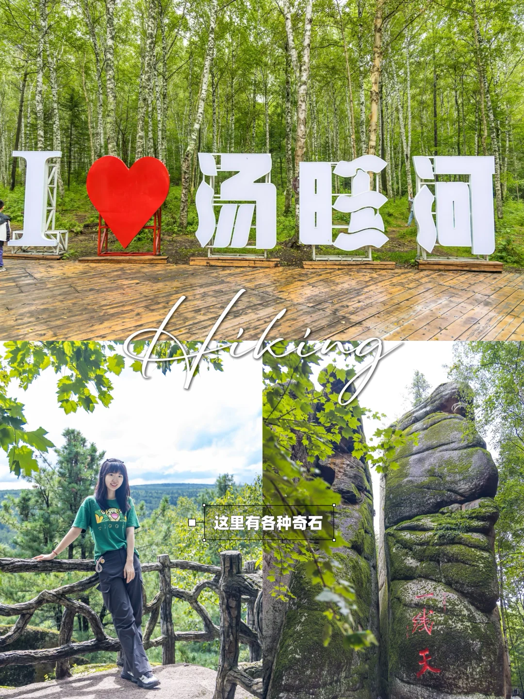 含鼠量极高‼️汤旺河景区3️⃣条路线全解‼️