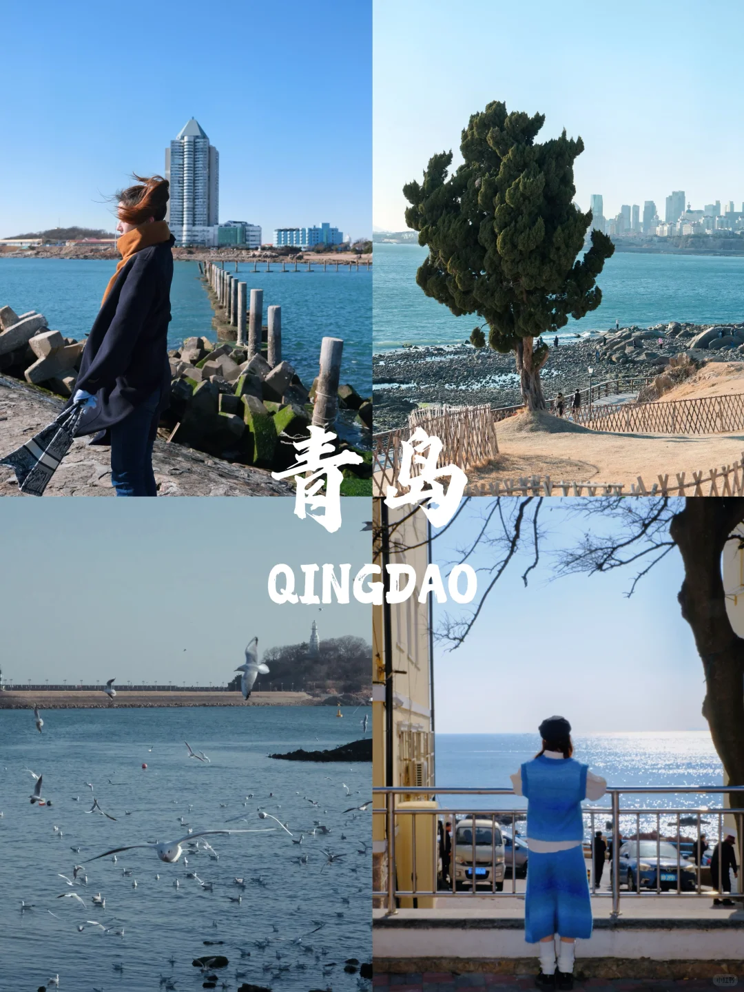 不踩雷的海边城市清单🏝️夏日出游必看