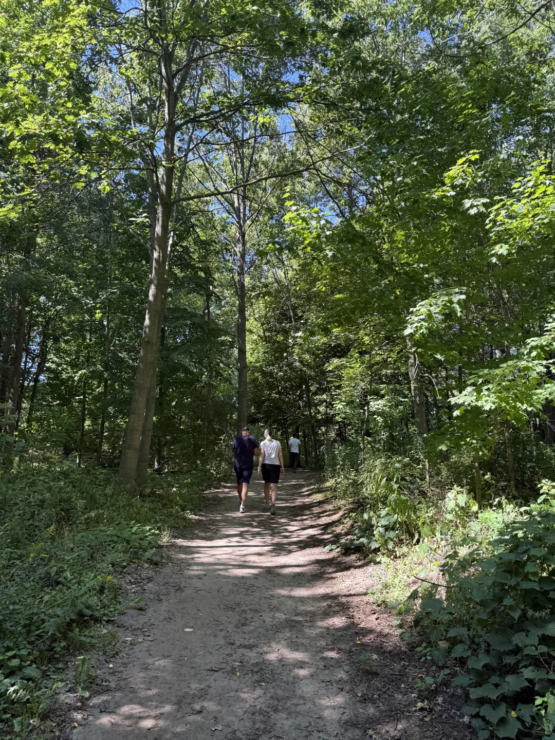 🇨🇦周末去哪儿⁉️ 宝藏城市trail‼️