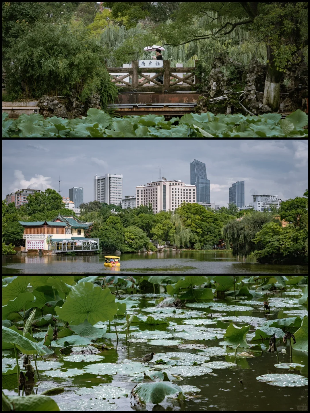 昆明citywalk｜以翠湖为中心2天8个免费景点