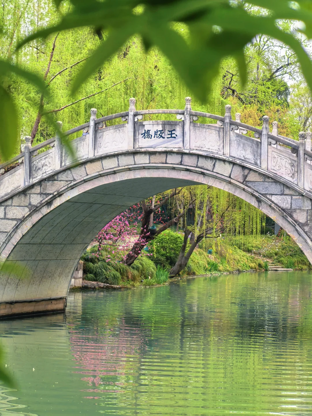 你一句春不晚，我就到了真江南