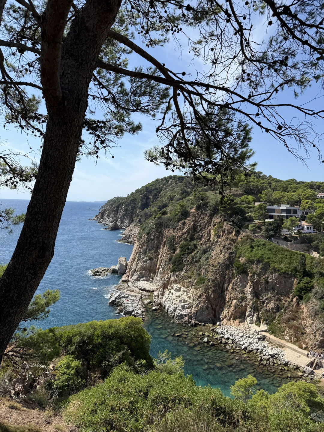 🇪🇸被Tossa美成玛丽莲梦露！🏝️🧡✨值得!!!