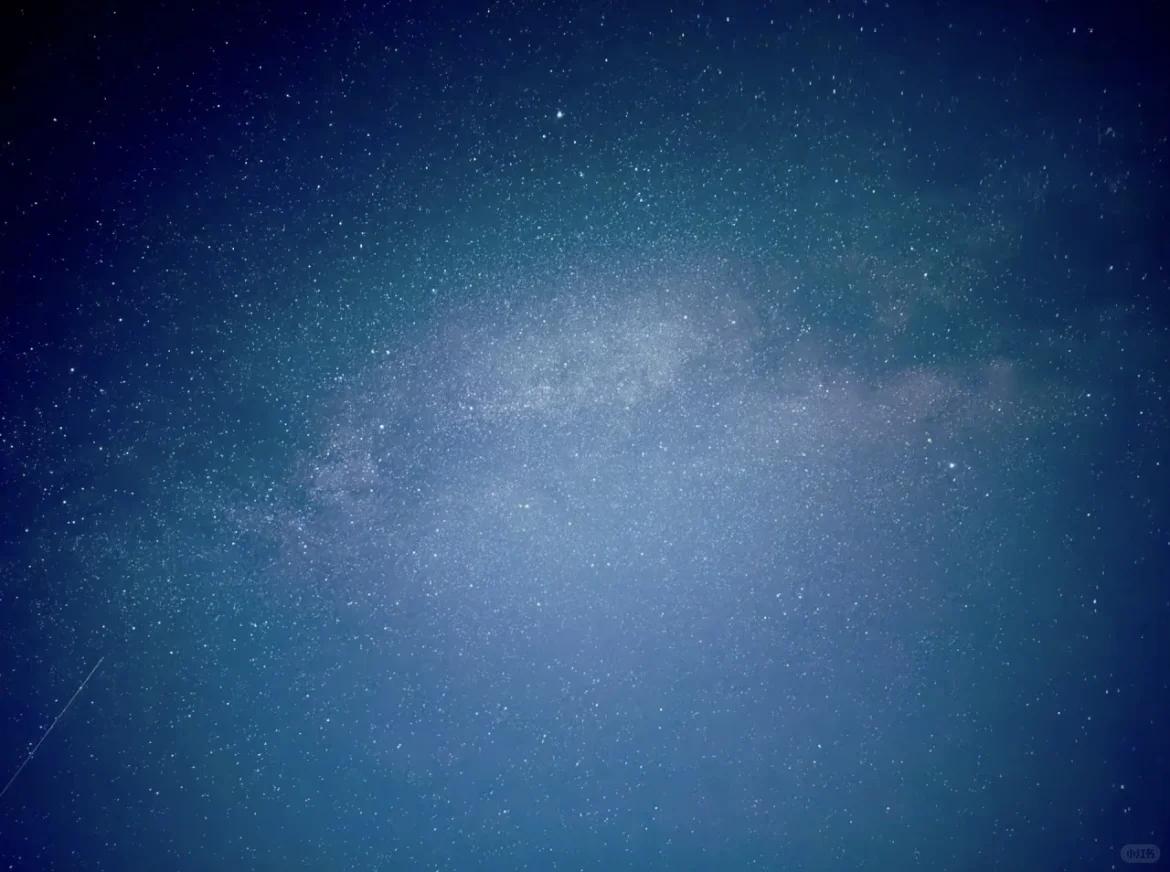 坝上草原｜不花一分冤枉钱玩转坝上草原