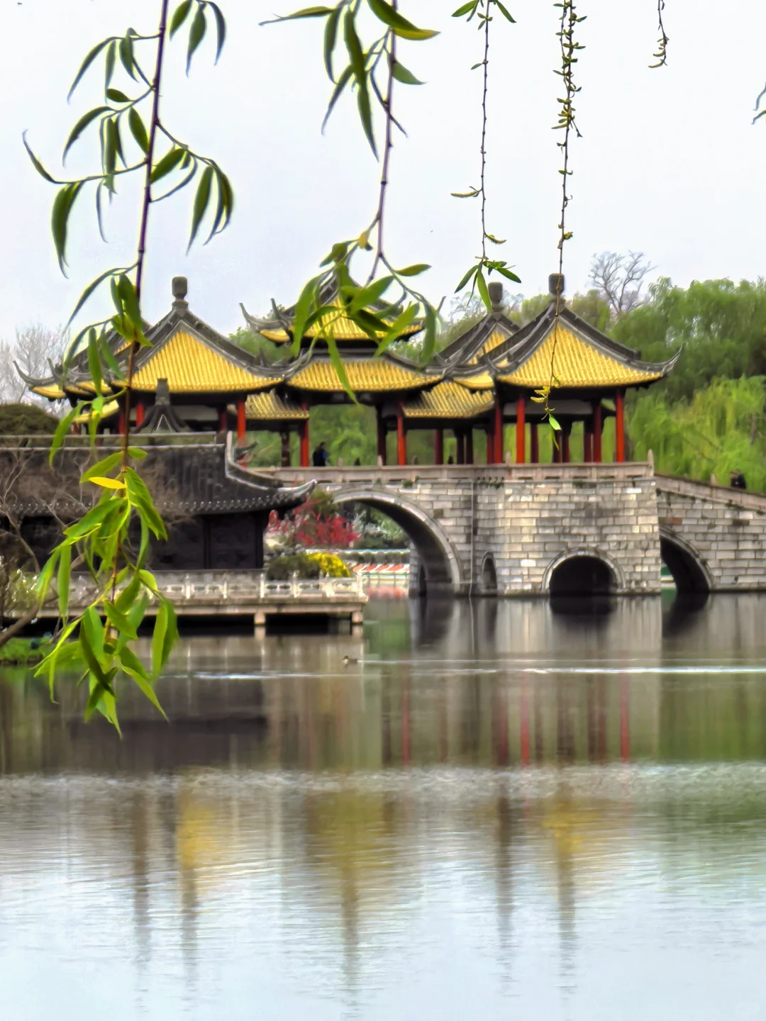 你一句春不晚，我就到了真江南