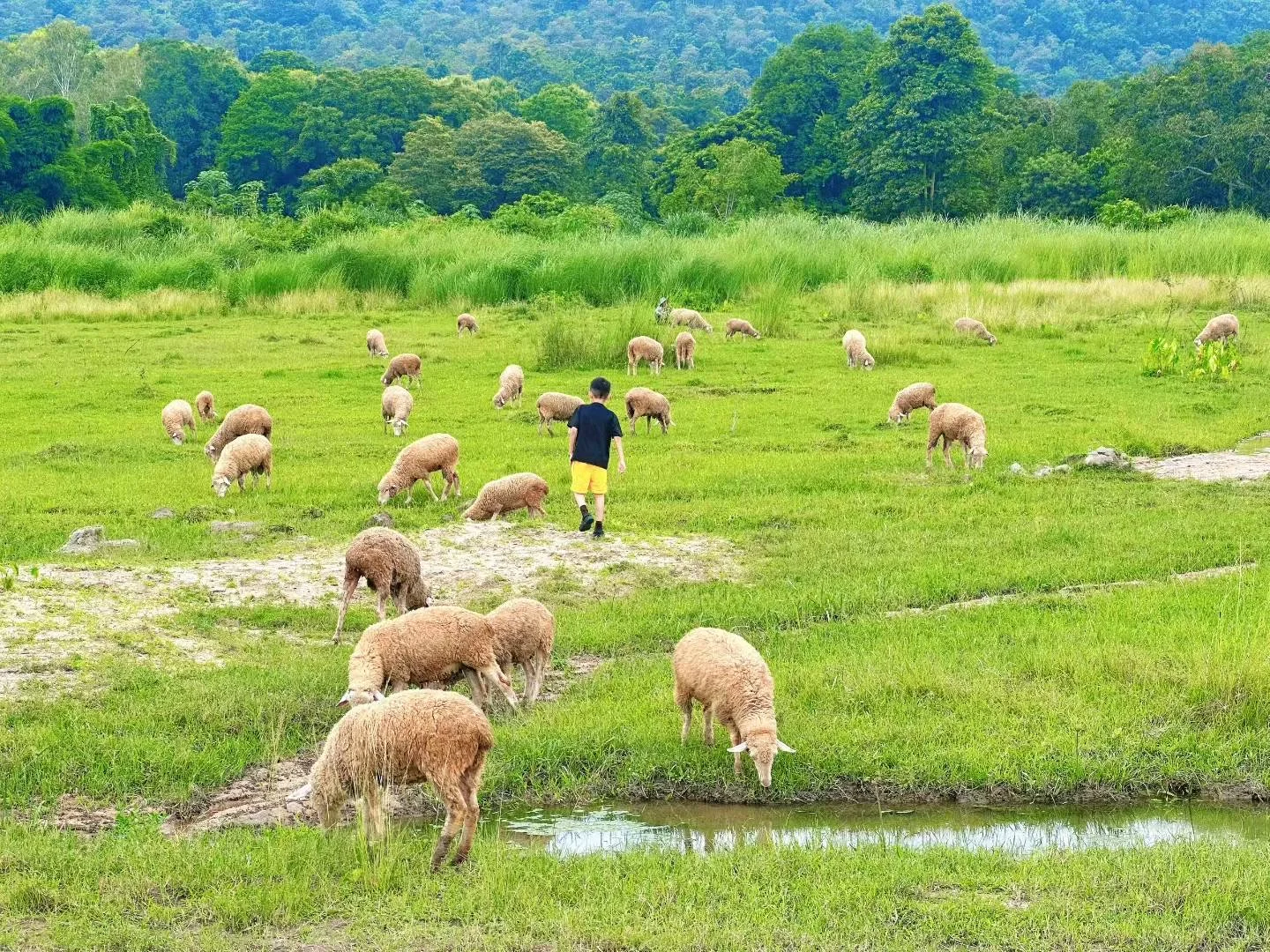 坝上草原｜不花一分冤枉钱玩转坝上草原