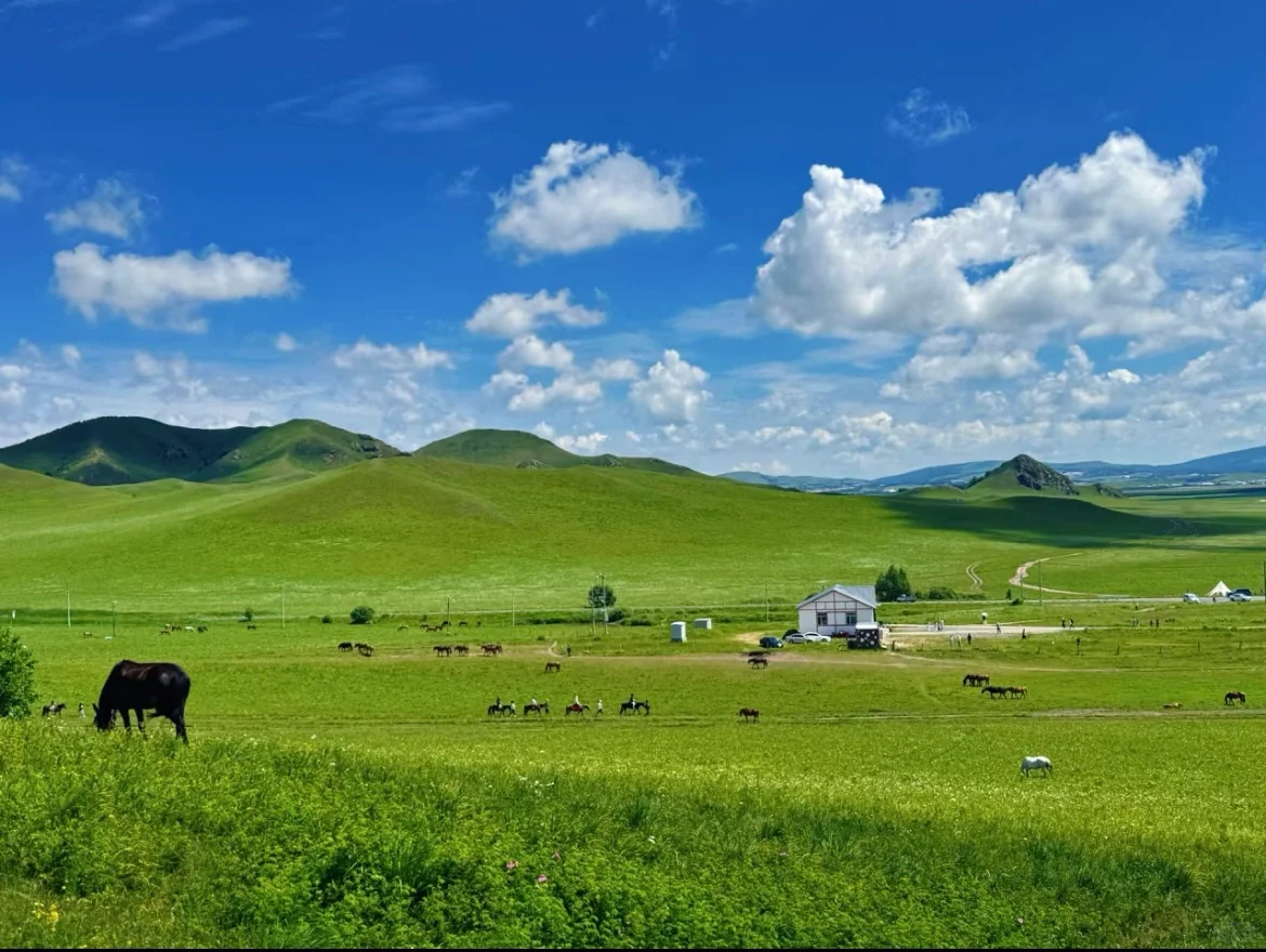 坝上草原｜不花一分冤枉钱玩转坝上草原