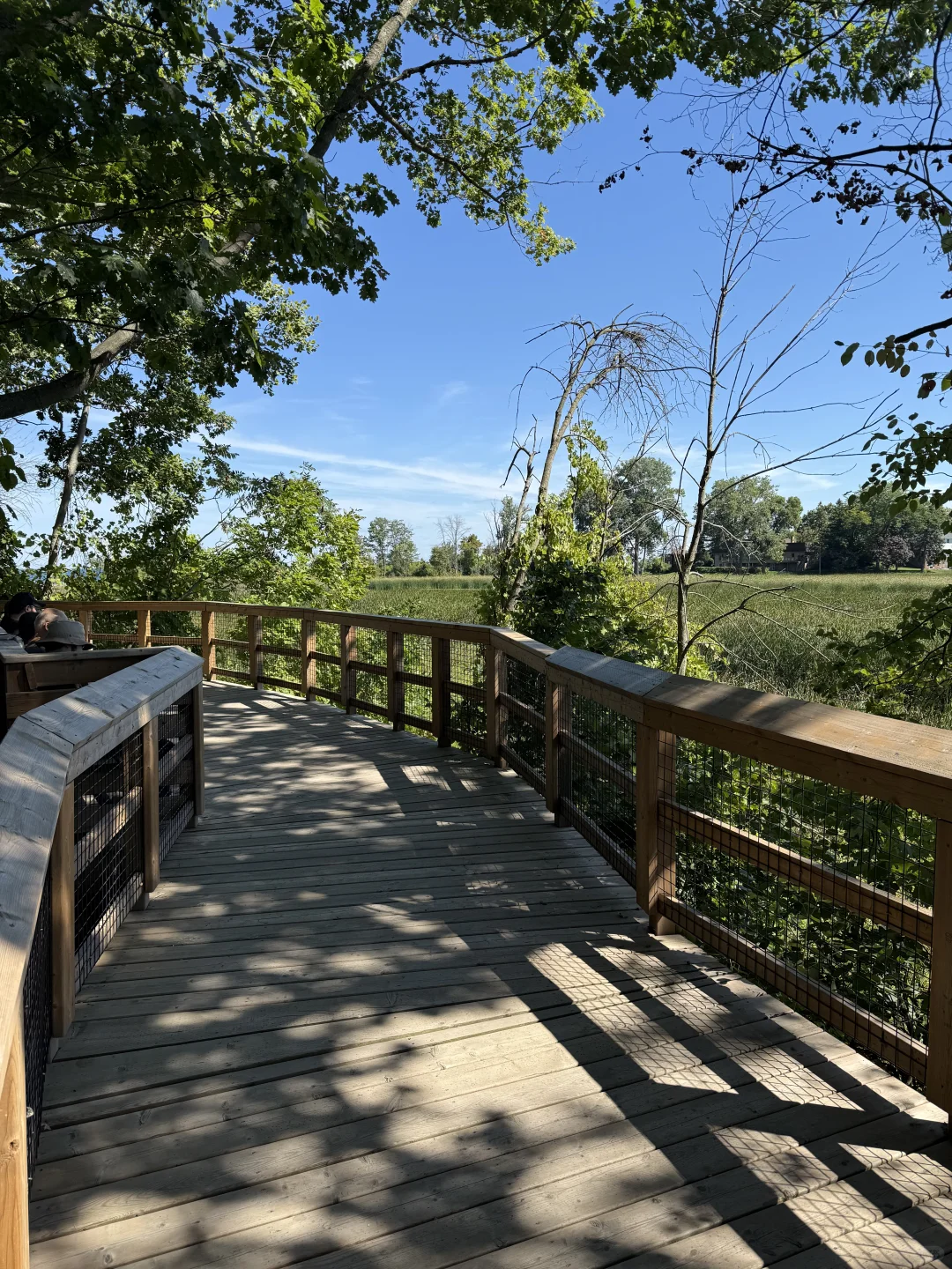 🇨🇦周末去哪儿⁉️ 宝藏城市trail‼️