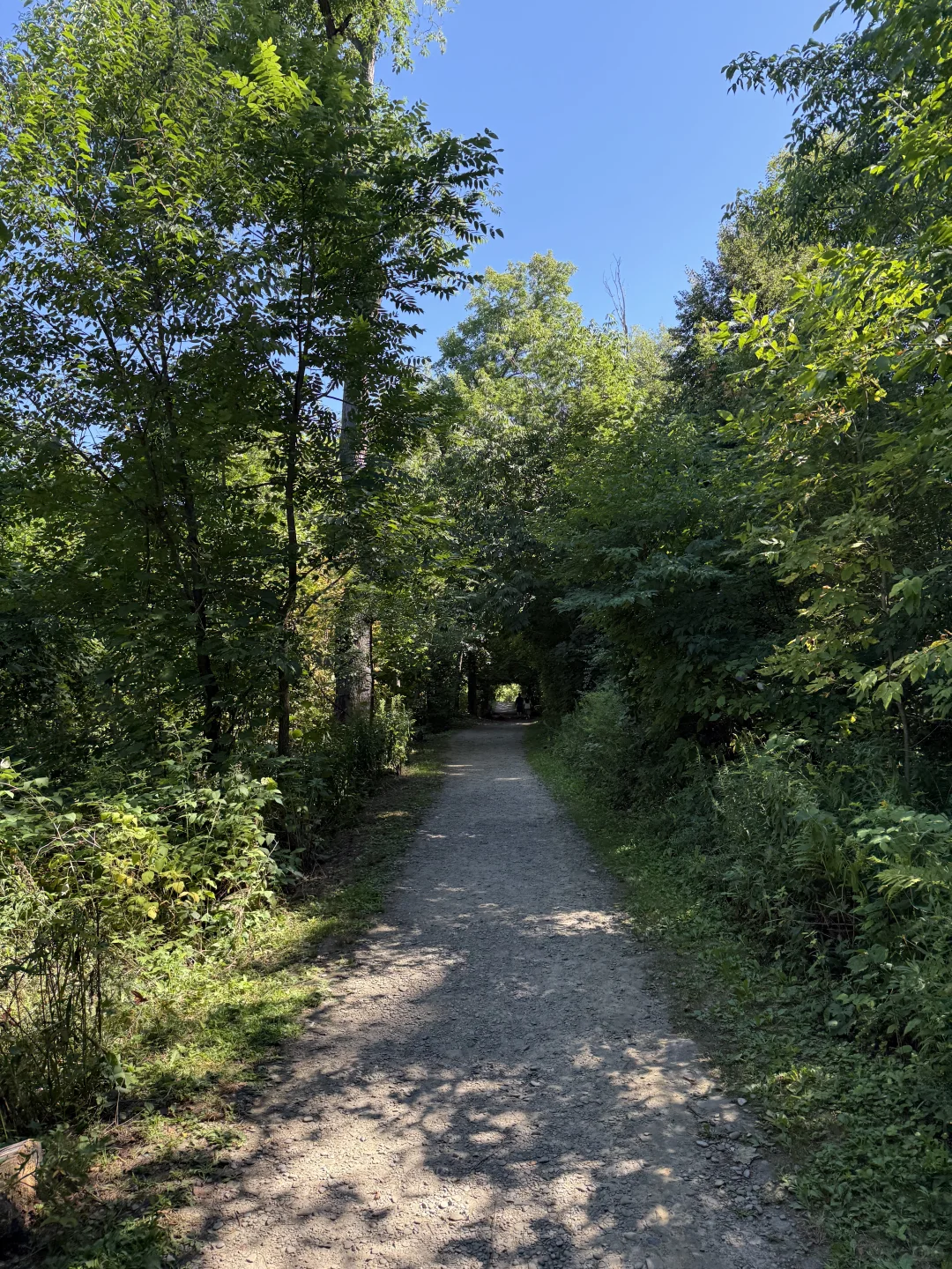 🇨🇦周末去哪儿⁉️ 宝藏城市trail‼️