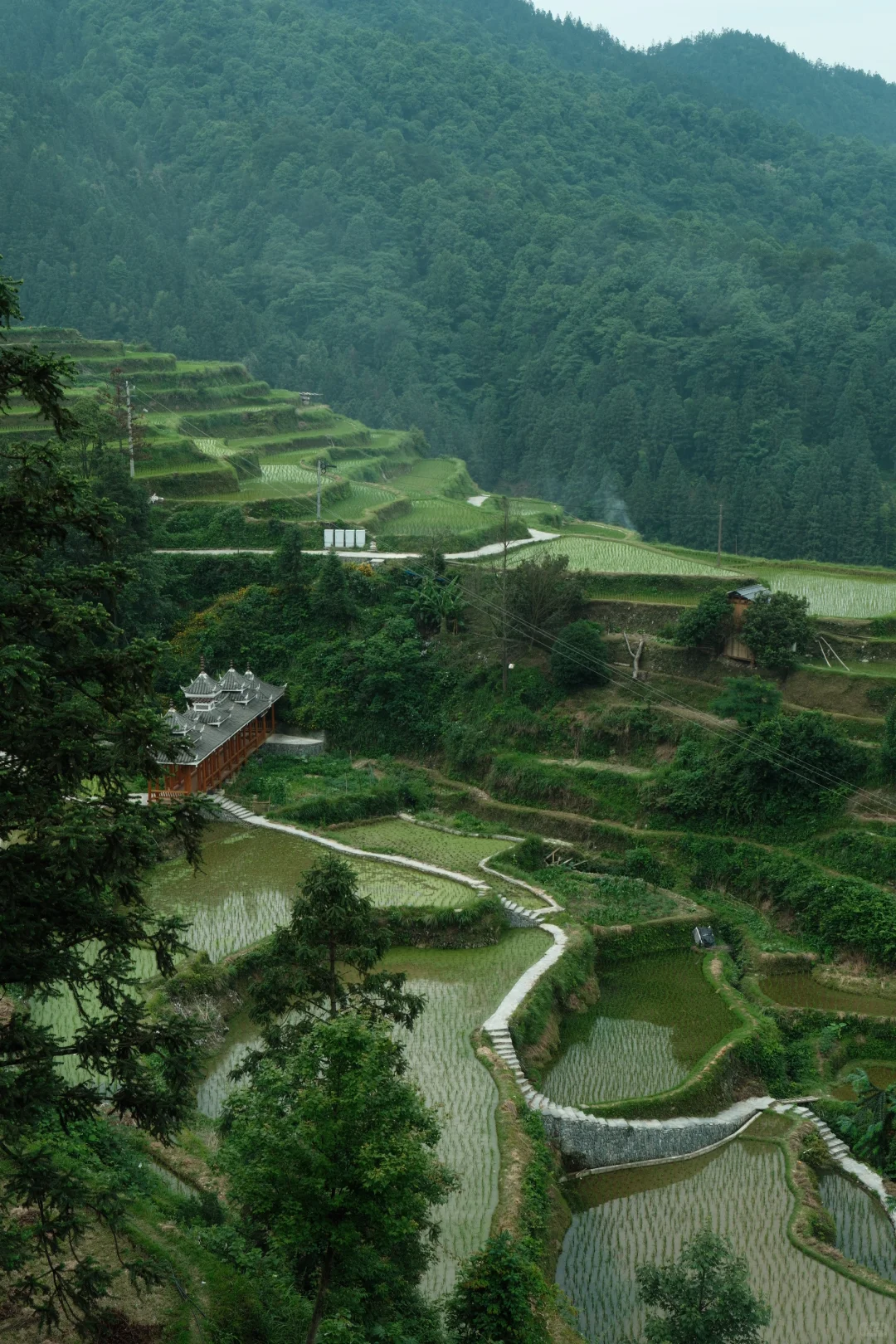 黔东南 住在山里的日子⛰️