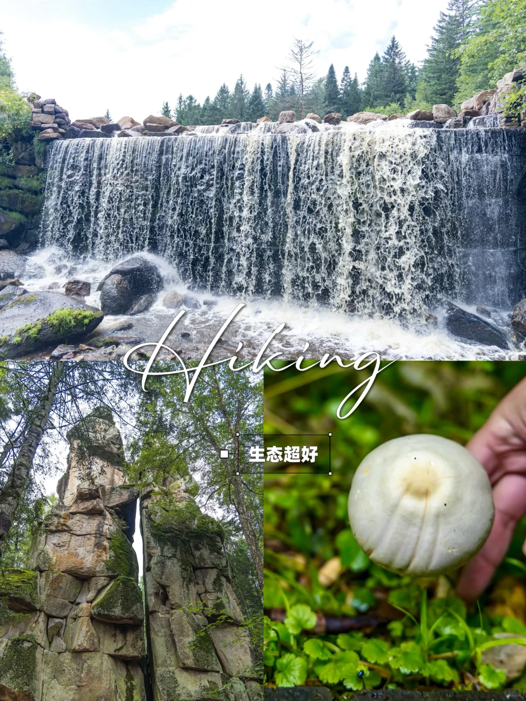 含鼠量极高‼️汤旺河景区3️⃣条路线全解‼️