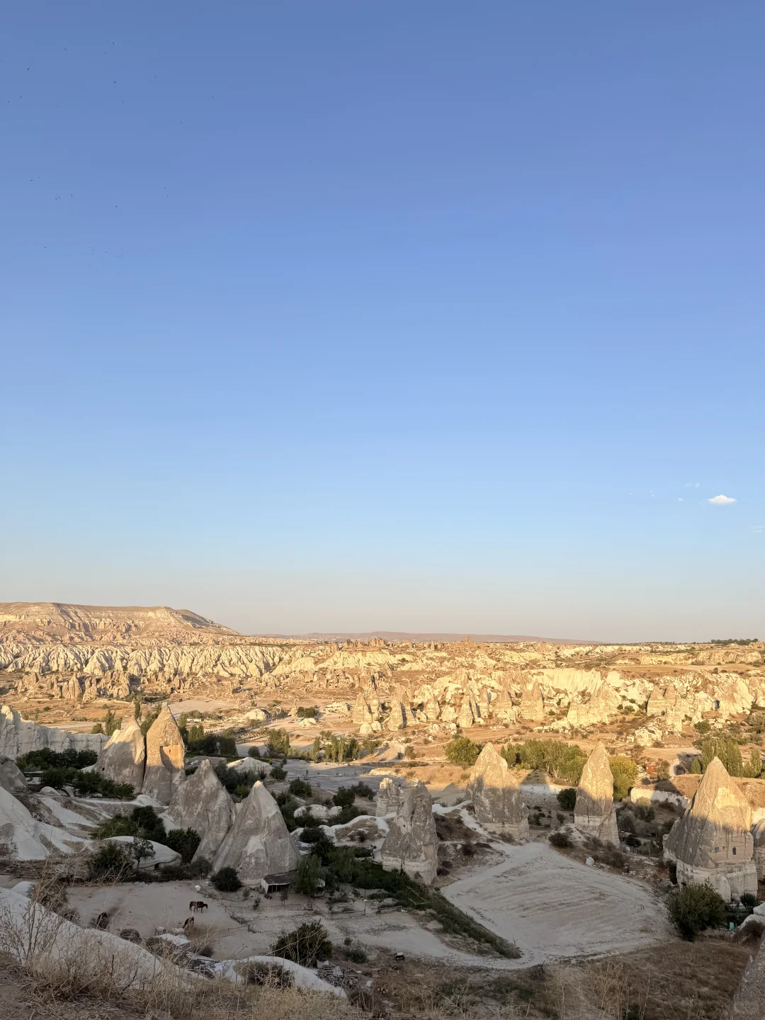 格雷梅爱乐之城