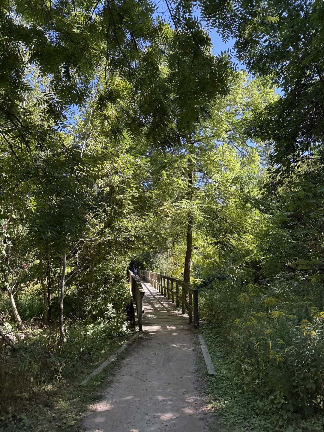 🇨🇦周末去哪儿⁉️ 宝藏城市trail‼️