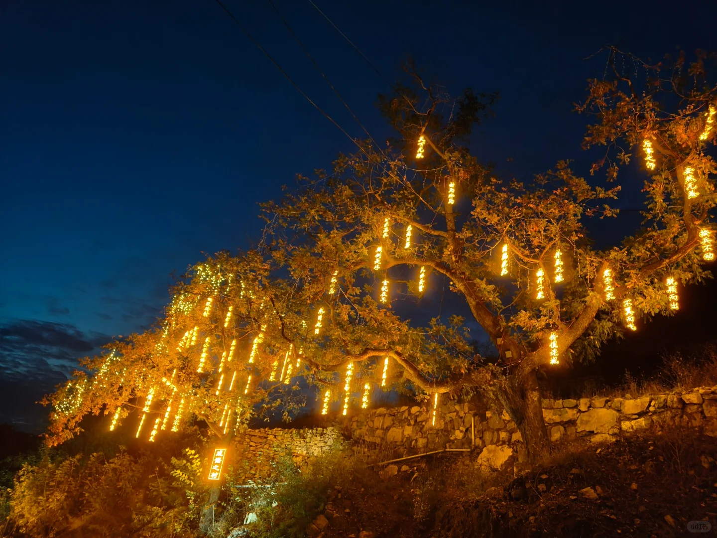 报告，发现邯郸的“布达拉宫”🤗
