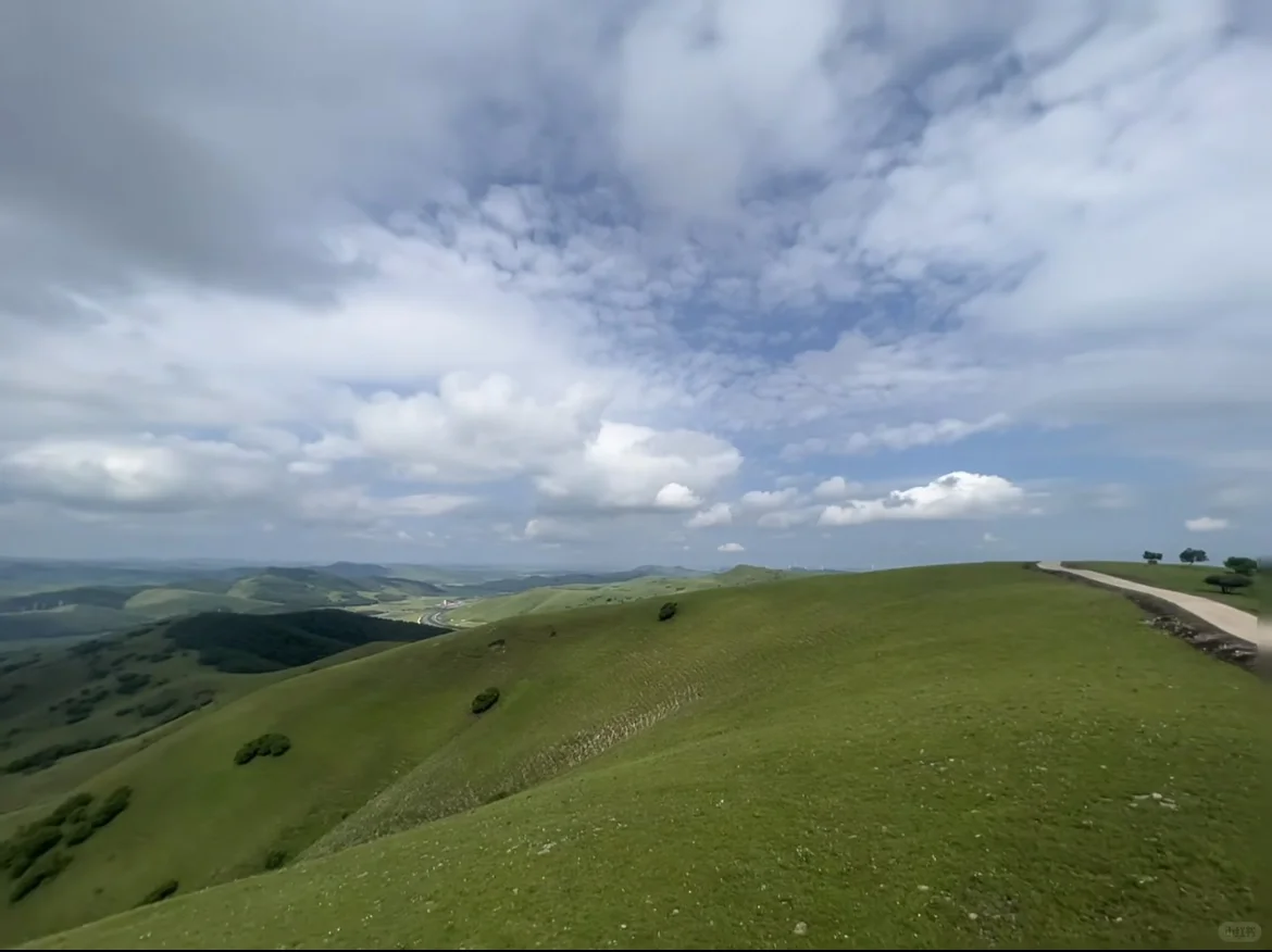 坝上草原｜不花一分冤枉钱玩转坝上草原