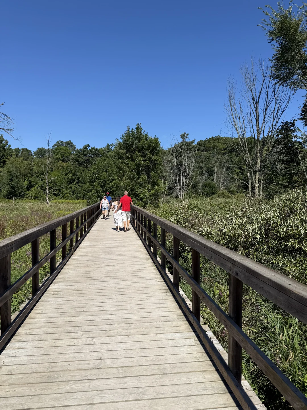 🇨🇦周末去哪儿⁉️ 宝藏城市trail‼️