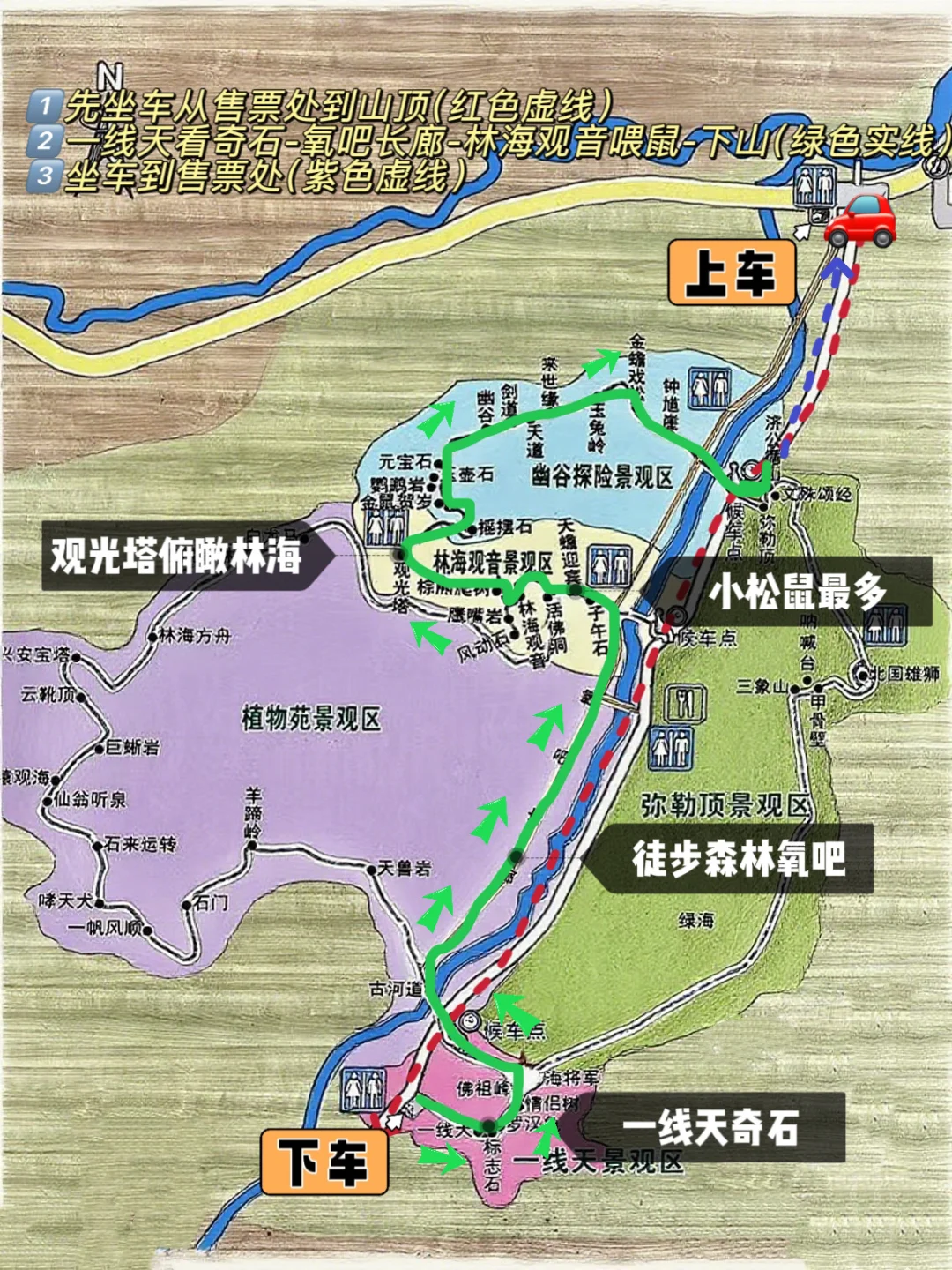 含鼠量极高‼️汤旺河景区3️⃣条路线全解‼️