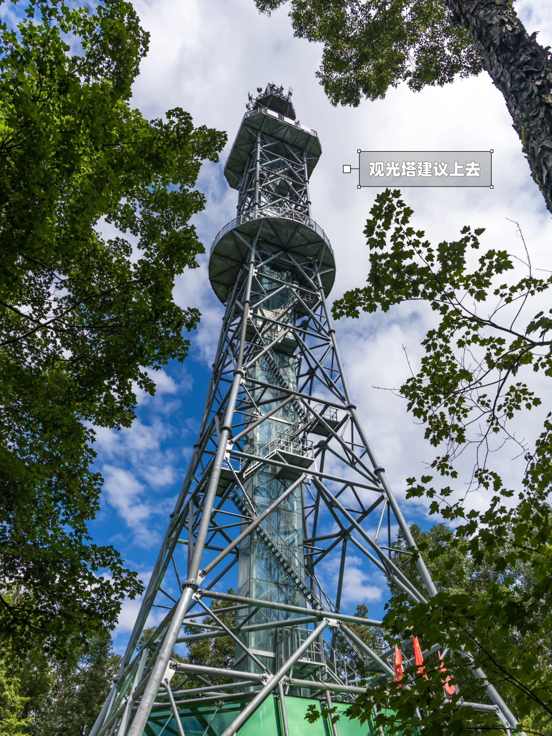含鼠量极高‼️汤旺河景区3️⃣条路线全解‼️