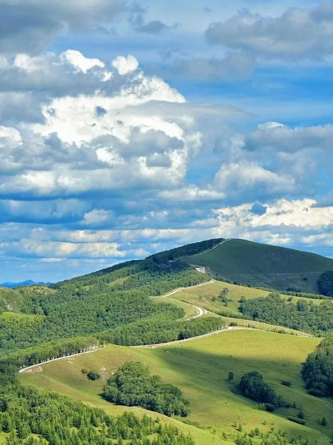 坝上草原｜不花一分冤枉钱玩转坝上草原